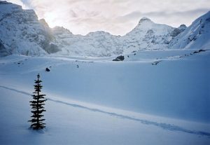 哥倫比亞冰原帕克山脊滑雪場