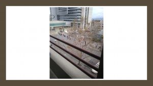 居家抗疫陽台見聞（註）